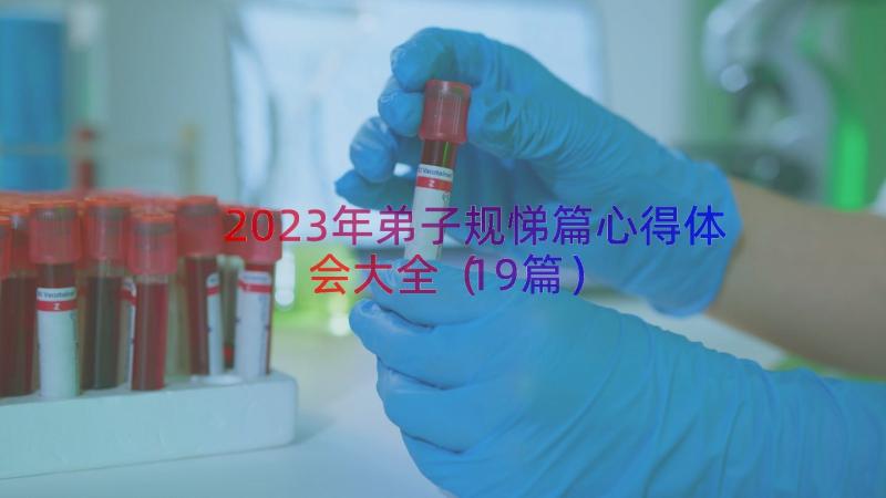 2023年弟子规悌篇心得体会大全（19篇）