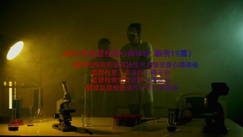 2023年监督检查心得体会（案例19篇）