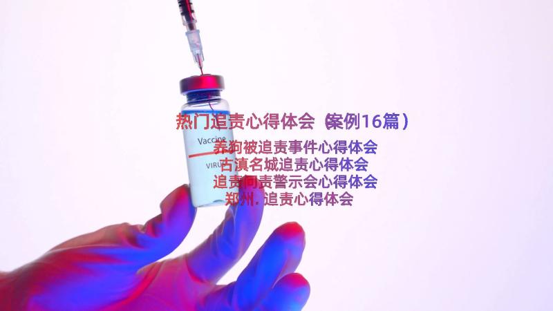 热门追责心得体会（案例16篇）