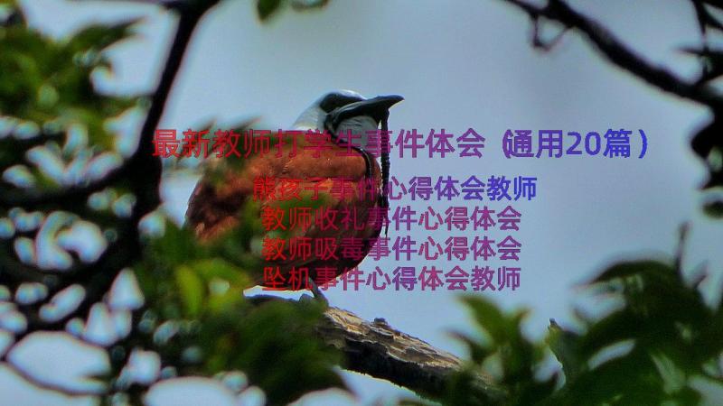 最新教师打学生事件体会（通用20篇）