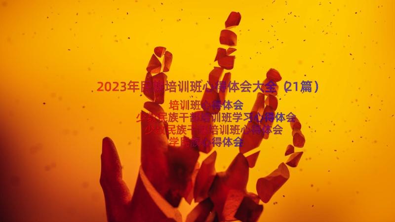 2023年民族培训班心得体会大全（21篇）