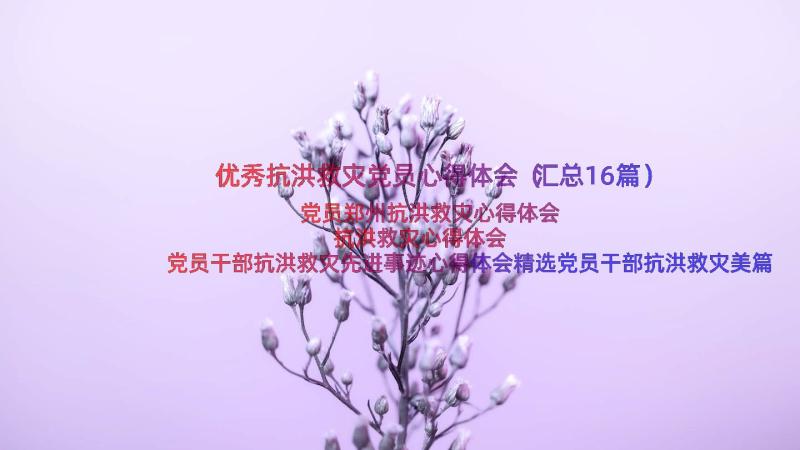 优秀抗洪救灾党员心得体会（汇总16篇）