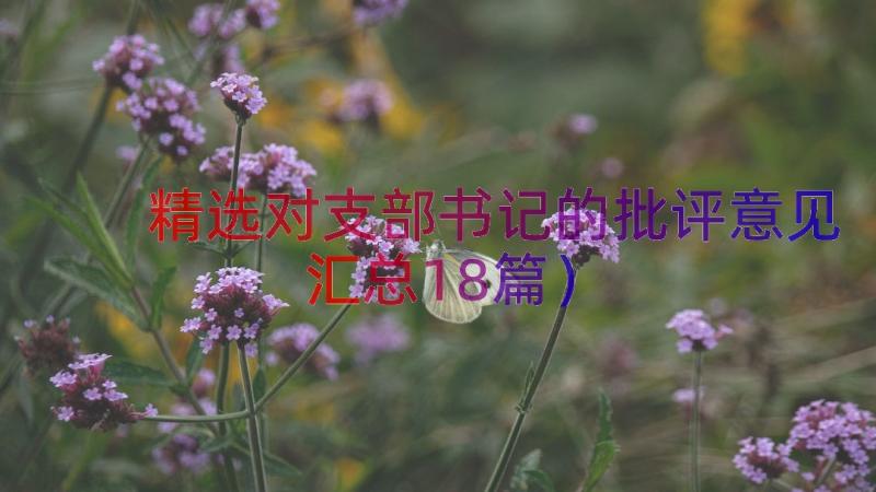 精选对支部书记的批评意见（汇总18篇）