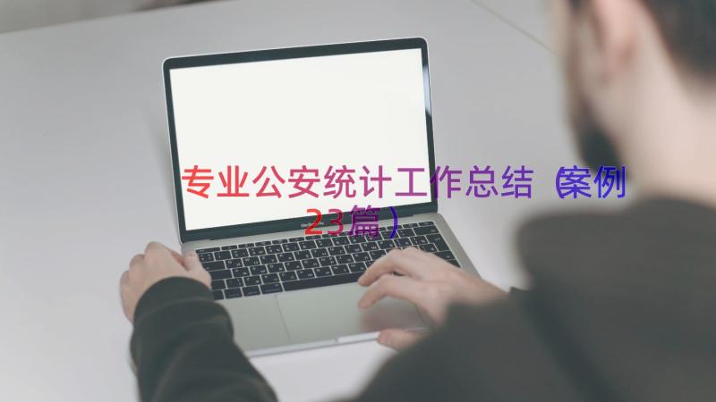 专业公安统计工作总结（案例23篇）