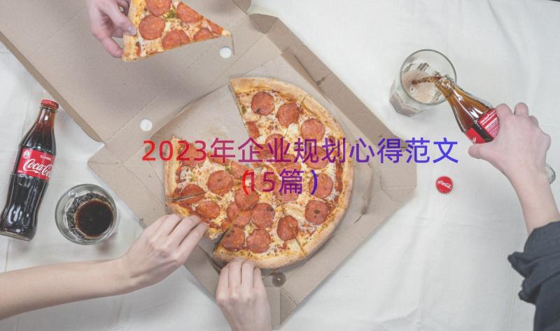 2023年企业规划心得范文（15篇）