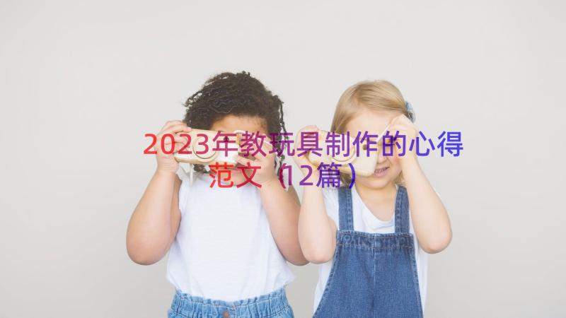 2023年教玩具制作的心得范文（12篇）