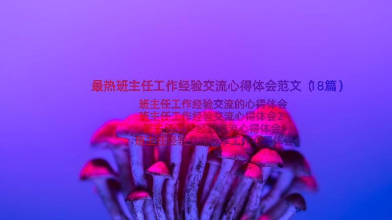 最热班主任工作经验交流心得体会范文（18篇）