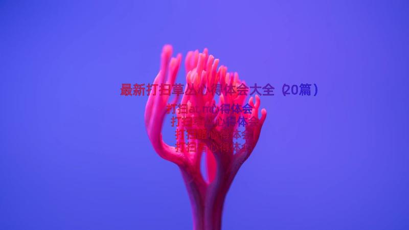 最新打扫草丛心得体会大全（20篇）