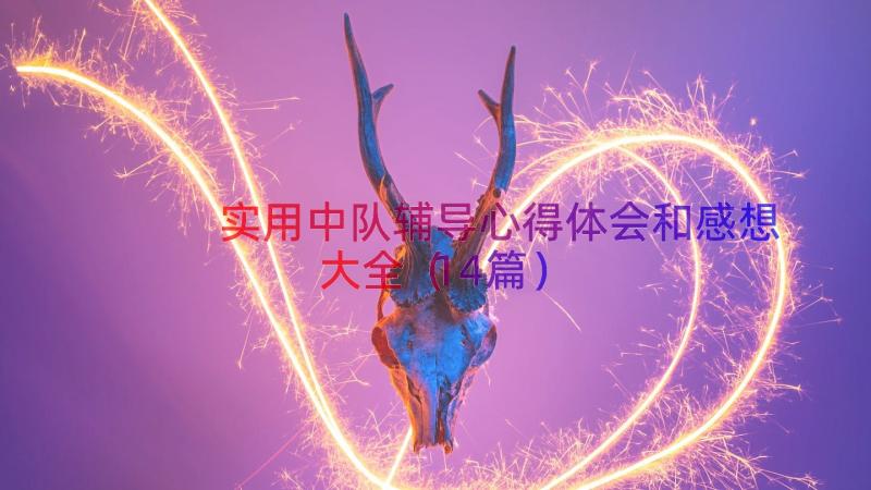 实用中队辅导心得体会和感想大全（14篇）