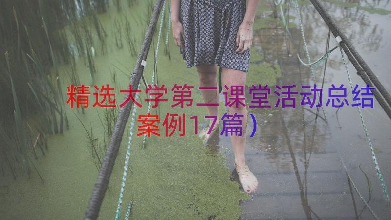 精选大学第二课堂活动总结（案例17篇）