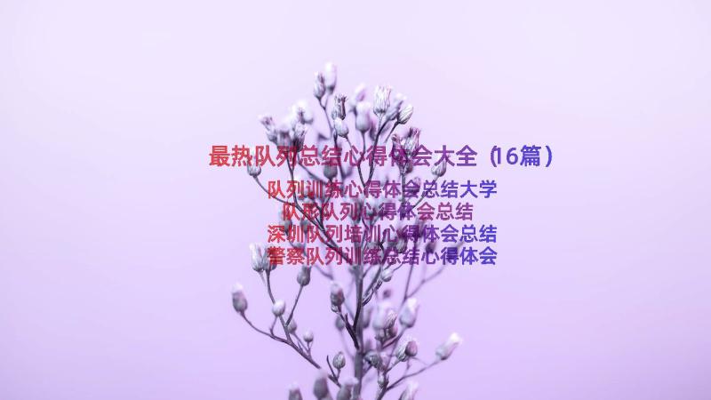 最热队列总结心得体会大全（16篇）