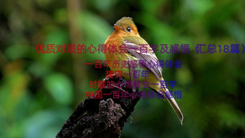 优质对联的心得体会一百字及感悟（汇总18篇）