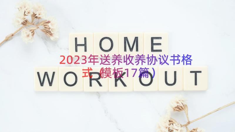 2023年送养收养协议书格式（模板17篇）