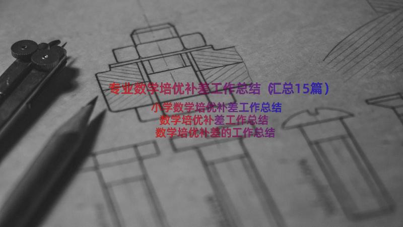 专业数学培优补差工作总结（汇总15篇）