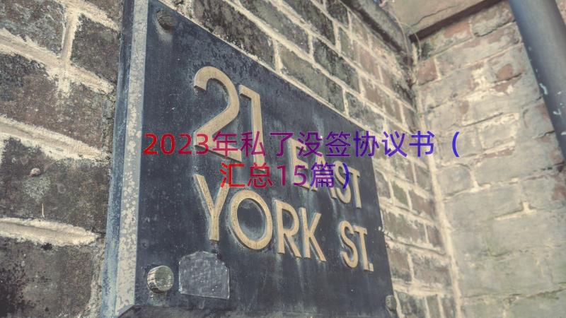 2023年私了没签协议书（汇总15篇）