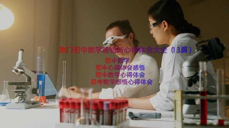 热门初中数学感悟与心得体会大全（13篇）