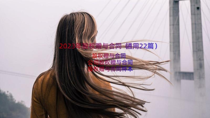 2023年股权赠与合同（通用22篇）