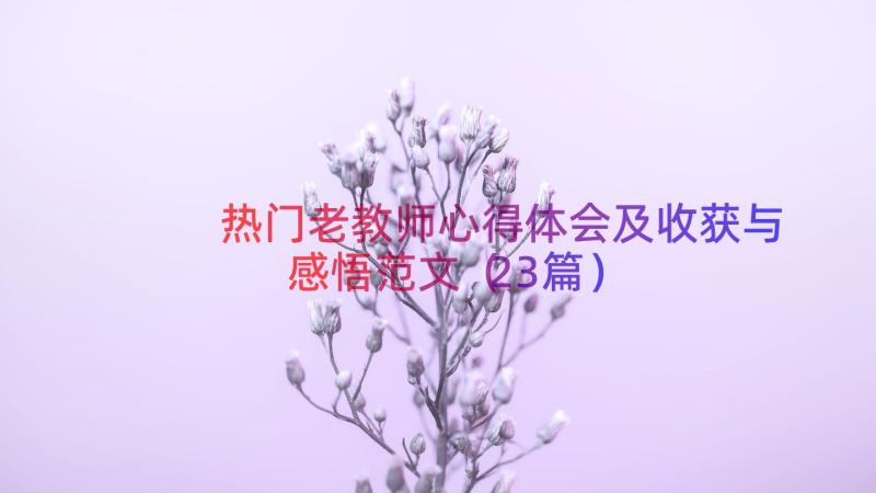 热门老教师心得体会及收获与感悟范文（23篇）