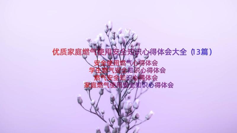 优质家庭燃气使用安全知识心得体会大全（13篇）