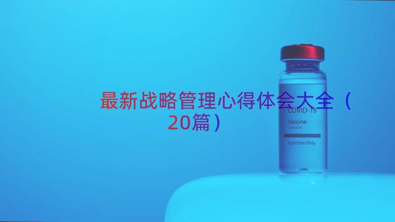 最新战略管理心得体会大全（20篇）