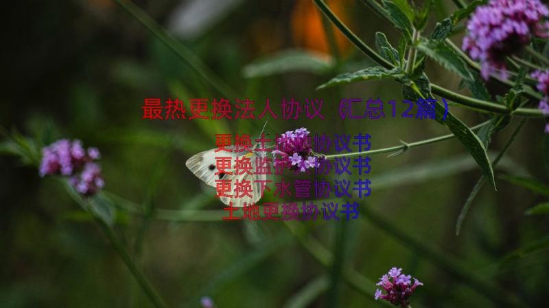 最热更换法人协议（汇总12篇）