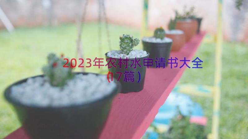 2023年农村水申请书大全（17篇）