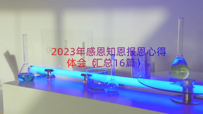 2023年感恩知恩报恩心得体会（汇总16篇）