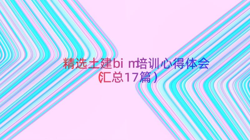 精选土建bim培训心得体会（汇总17篇）