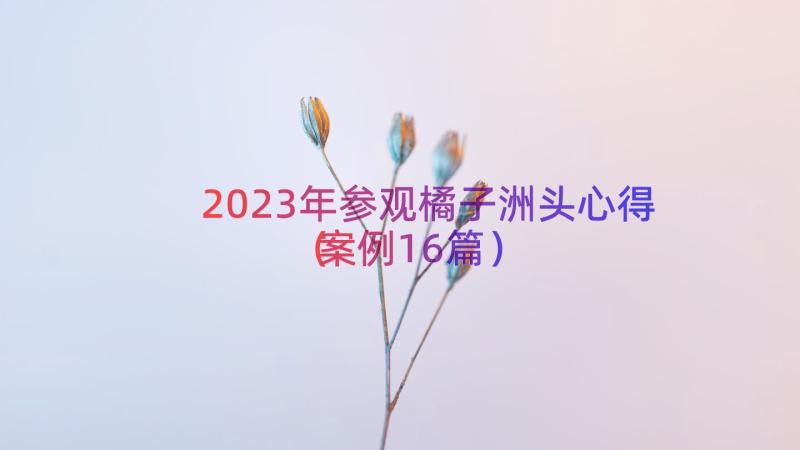 2023年参观橘子洲头心得（案例16篇）