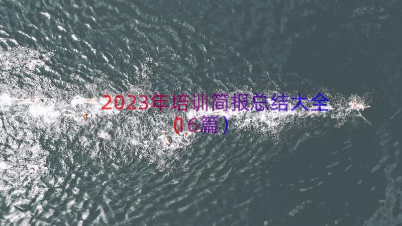 2023年培训简报总结大全（16篇）