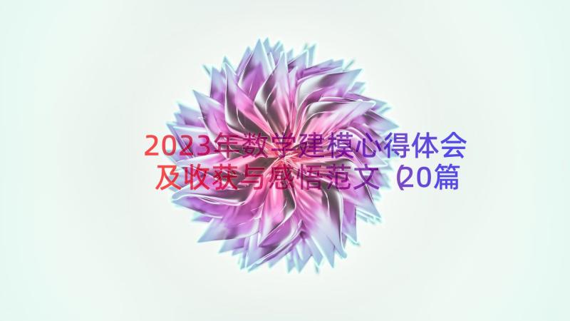 2023年数学建模心得体会及收获与感悟范文（20篇）