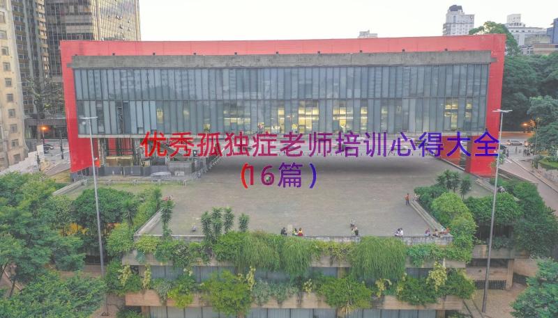 优秀孤独症老师培训心得大全（16篇）