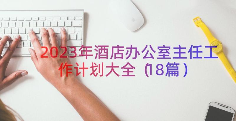 2023年酒店办公室主任工作计划大全（18篇）