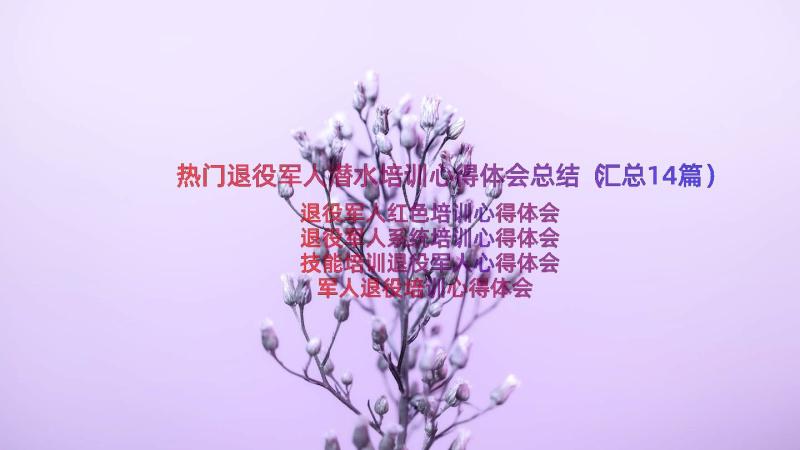 热门退役军人潜水培训心得体会总结（汇总14篇）