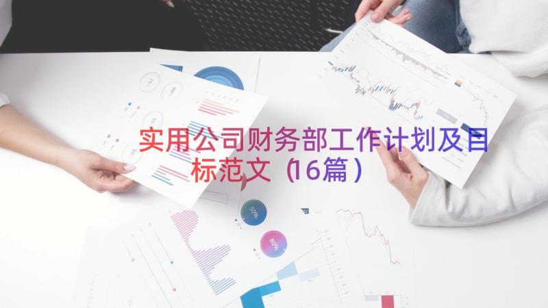 实用公司财务部工作计划及目标范文（16篇）