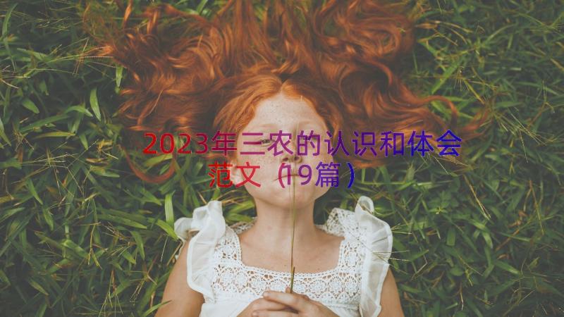 2023年三农的认识和体会范文（19篇）