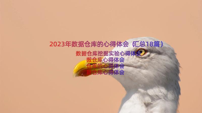 2023年数据仓库的心得体会（汇总18篇）