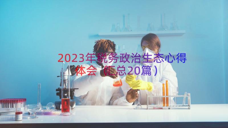 2023年税务政治生态心得体会（汇总20篇）