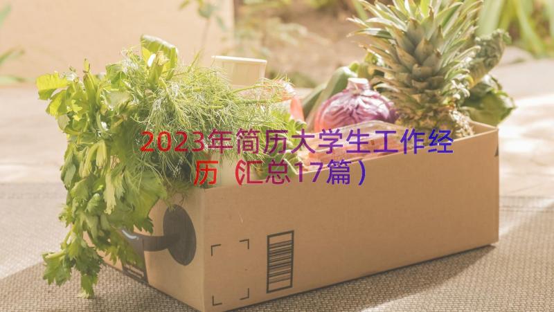 2023年简历大学生工作经历（汇总17篇）