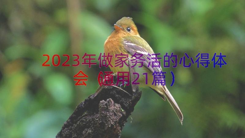 2023年做家务活的心得体会（通用21篇）