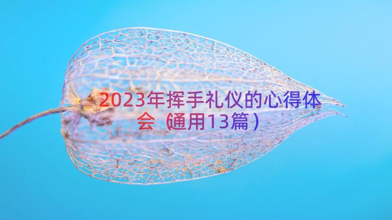 2023年挥手礼仪的心得体会（通用13篇）