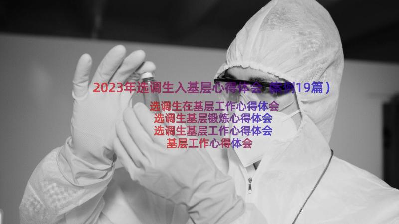 2023年选调生入基层心得体会（案例19篇）