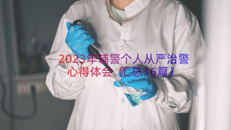 2023年辅警个人从严治警心得体会（汇总16篇）