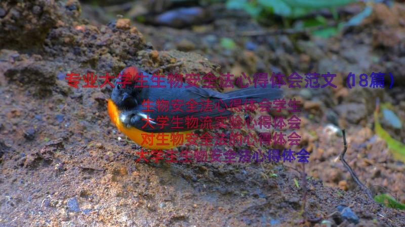 专业大学生生物安全法心得体会范文（18篇）