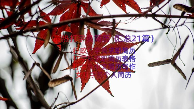 最热打字员简历（汇总21篇）