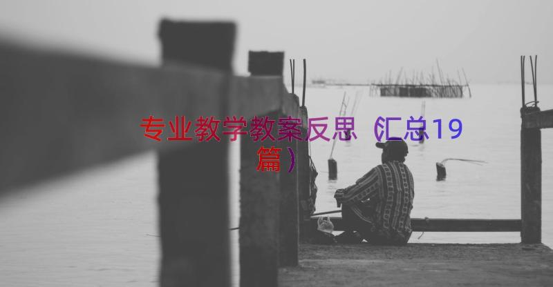 专业教学教案反思（汇总19篇）