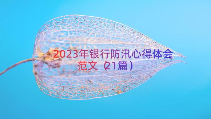 2023年银行防汛心得体会范文（21篇）