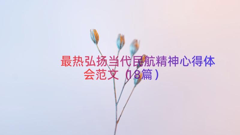 最热弘扬当代民航精神心得体会范文（18篇）