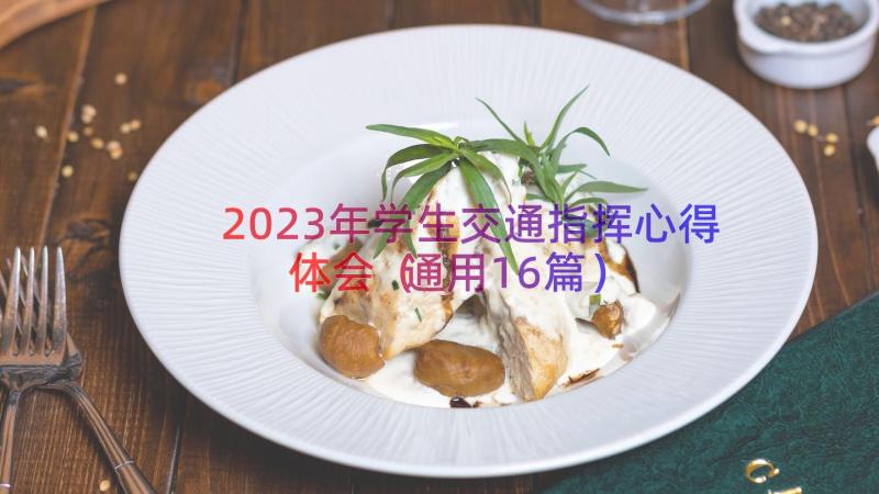 2023年学生交通指挥心得体会（通用16篇）