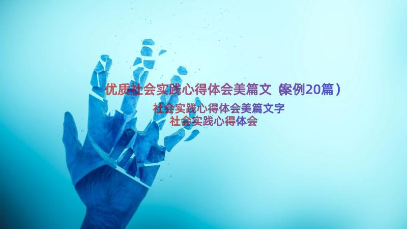 优质社会实践心得体会美篇文（案例20篇）